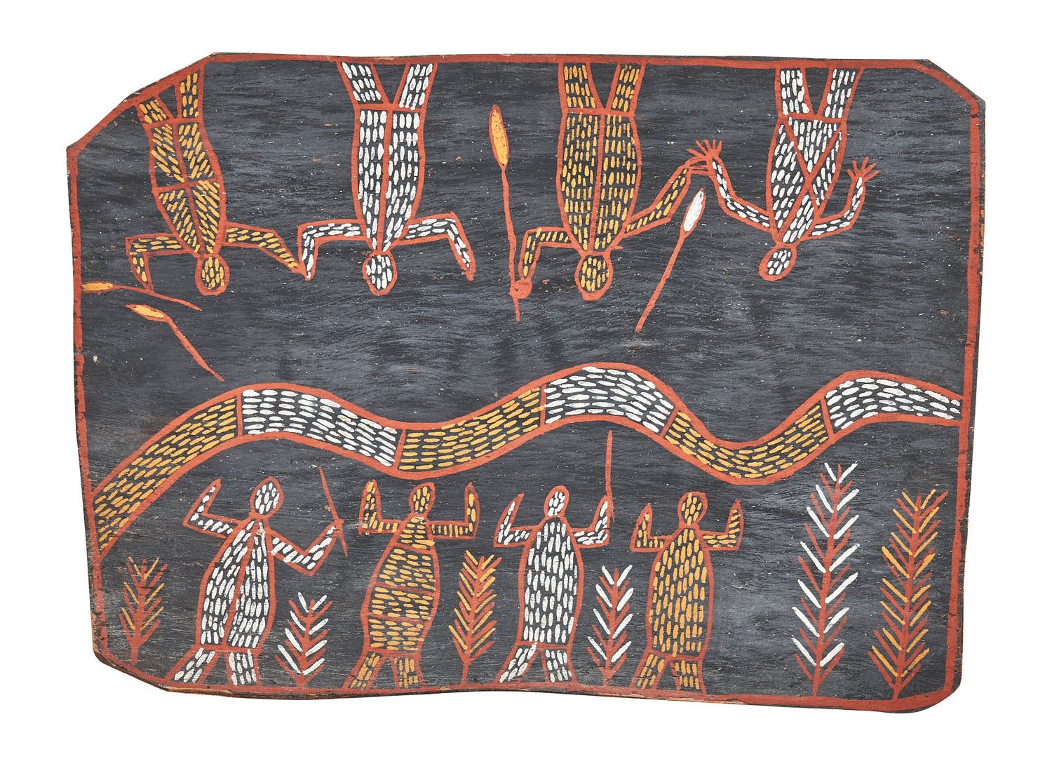 Australian Paintings on Bark February 2022