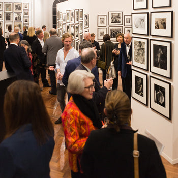 Enjoy our exhibitions and viewings